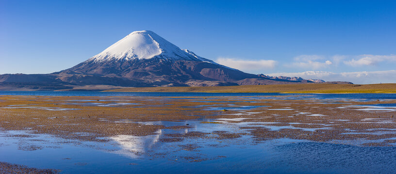 Landscape with the volcano Parinacota  reflecting in the lake Lago Chungara