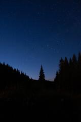 Fototapeta premium Lovely evening in the mountains