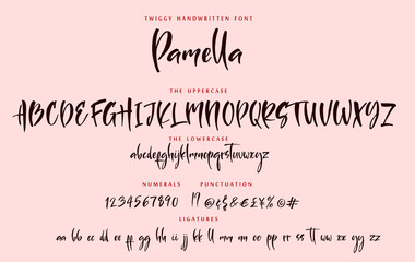 Handwritten script playful font sister Pamella vector alphabet set