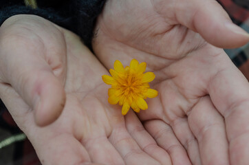 Concept of harmony, tenderness, romance.