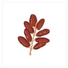 Dates Fruit Ramadan Kareem Vector