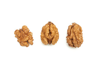 peeled walnut isolated on white background, close-up