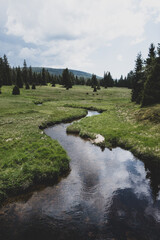 Obraz premium Beautiful summer in the Czech mountains