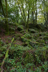 Orvault - Ville verte - La vallée du Cens