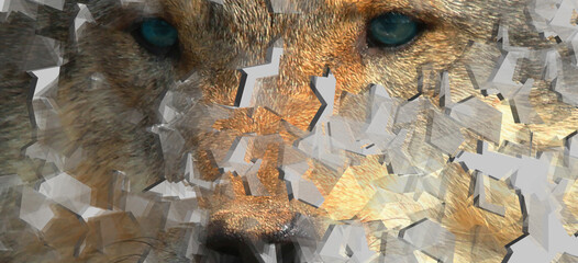 angry wolf eyes closeup dispersion effect on a white background