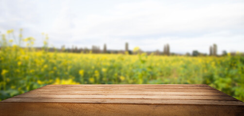 table on a blurred background of a green field, place for your products