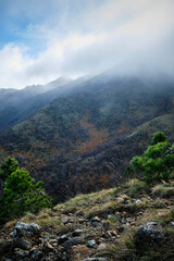 Foto scattata lungo la passeggiata che da Bosio porta al famoso Monte Tobbio.
