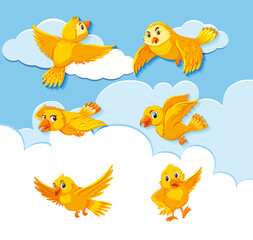 Set of bird character on sky background