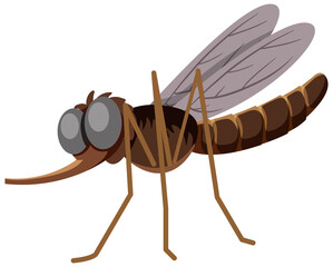 Mosquito cartoon style isolated on white background