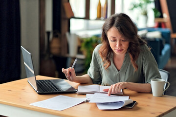 Young woman working from home office. Freelancer using laptop and the Internet. Workplace in living...