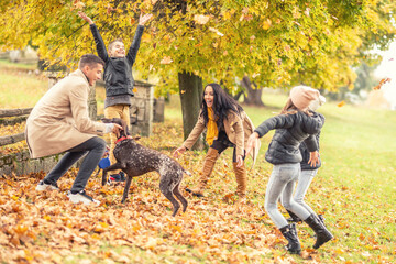 Throwing leaves and playing with a dog outdoors on an autumn chilly day