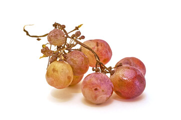 Spoiled bunch of grapes isolated on a white background