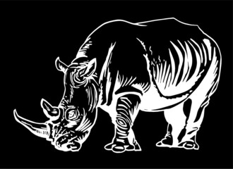 Vector ink-pen illustration of rhino isolated on black background