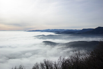 fog over the river