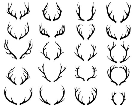 Deer antlers set. Horns collection, different silhouettes