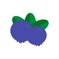 Delicious blueberry icon