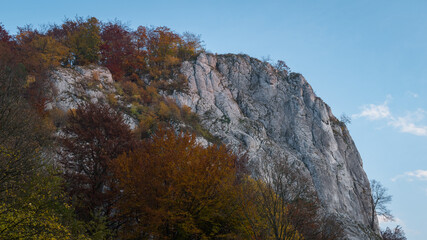 beautiful rocks with colorful trees in autumn