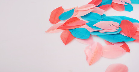 Bright multicoloured bird feather isolated on white background