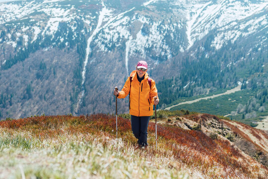 Dressed bright orange jacket backpacker woman walking by red blueberry field using trekking poles with mountain range background, Slovakia. Active people and European mountain hiking tourism concept