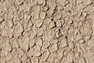 detail of the cracked earth floor. texture example