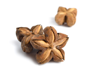 Plukenetia volubilis, commonly known as sacha inchi, sacha peanut, mountain peanut. Dried fruit isolated