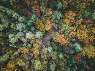 Fototapeta na wymiar Brücke im bunten Wald im Herbst, Luftaufnahme