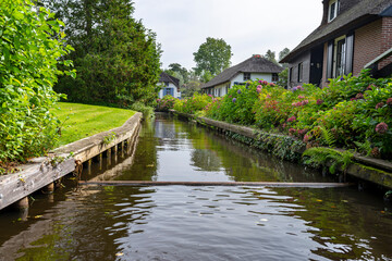 Fototapeta na wymiar A canal flowing between buildings in a famous village in the Netherlands, visible trees and flowers in the gardens.