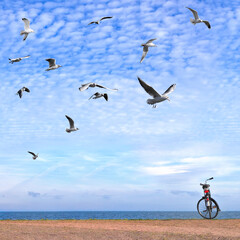 Bicycle parked on cobble stone pier in sea harbor. Seagulls flock flies in magnificent blue sky over the calm expanse on a sunny day. Netherlands. Pastoral Dutch seascape