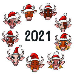 Set of vector stickers for the new year. Symbol of the year bull or bison, buffalo. Different animal poses according to the Chinese calendar