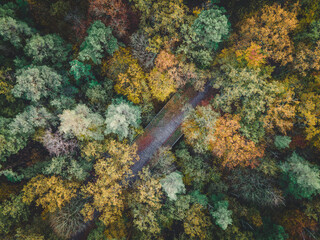 Luftaufnahme einer Brücke im Wald im Herbst