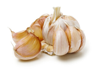 fresh garlic isolated on white background 