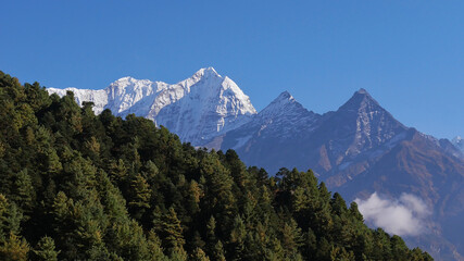 Majestic snow-capped mountain Kusum Kanguru (peak 6,367 m) in Hinku Himal east of Namche Bazar, Himalayas, Nepal with forest of coniferous trees in foreground on sunny day with blue sky.