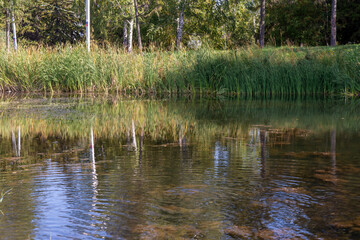 A wonderful view of the lake, grassy shores.