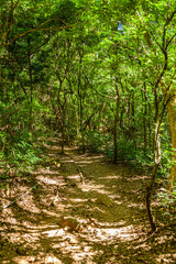 Costa Rica, around the Colorado river