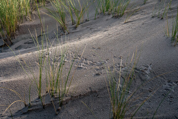 Spuren im Sand
