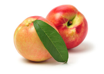 nectarine on a white background
