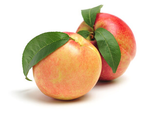 nectarine on a white background