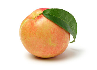 nectarine on a white background