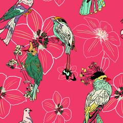 Vector seamless illustration of paradise and tropical birds in colors and jungle. Exotic birds pattern for printing on fabric, blanks for designers, banner, bed