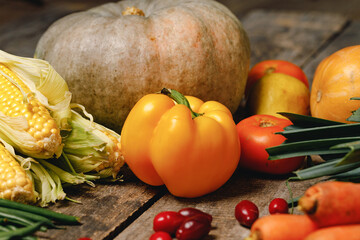 Close up of vegetables pumpkins and corn cobs