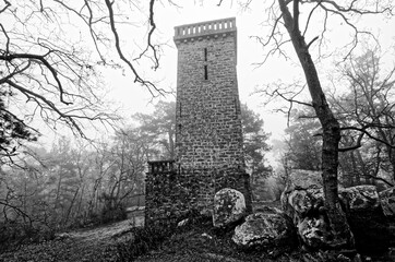 Samois tower and Fontainebleau forest in black and white 