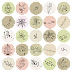 Botanical Icons for Social Media. They would be perfect for bloggers, influencers, vloggers, entrepreneurs, photographers, stylists, boutiques , make-up artists and creative souls