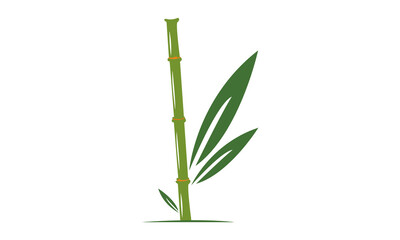 Fototapeta na wymiar Bamboo Plant Isolated on White Background Vector Image