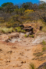 Costa Rica, around the Colorado river