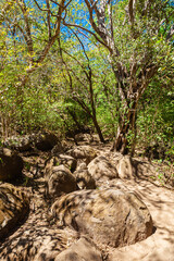 Costa Rica, around the Colorado river