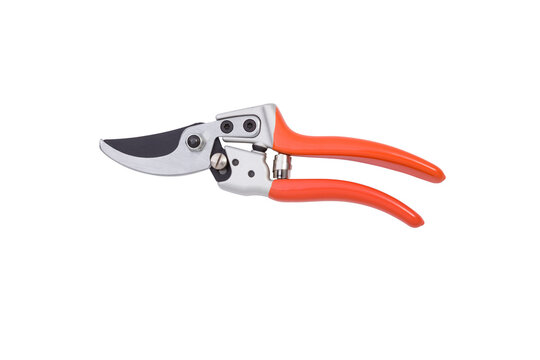Red Garden Secateurs Images – Browse 2,842 Stock Photos, Vectors, and Video  | Adobe Stock