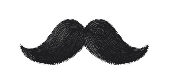 Black moustache. Cute curly simple mustache, hipster barbershop fashion logo, humor party photobooth props, groom silhouette symbol, human face hair male whisker vector illustration