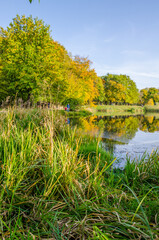 Landscape with autumn park in the sunny day. Yellow and green trees are displayed with reflection on the lake.