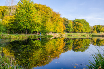 Obraz premium Landscape with autumn park in the sunny day. Yellow and green trees are displayed with reflection on the lake.