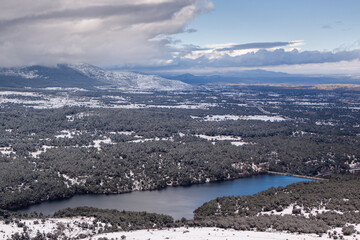 Great snowfall in the Revenga pine forest, in the Sierra de Guadarrama national park, in Segovia and Madrid. Castilla y Leon, Spain